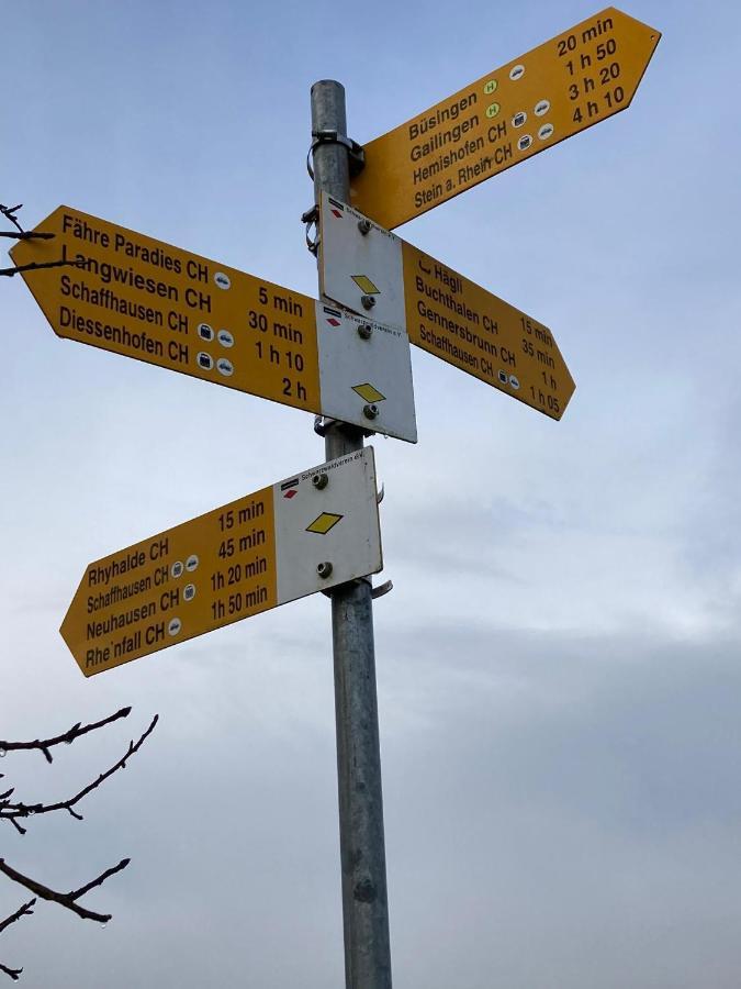 Buesingen Am Hochrhein Radfahren, Wandern, Natur Geniessen Lejlighed Eksteriør billede