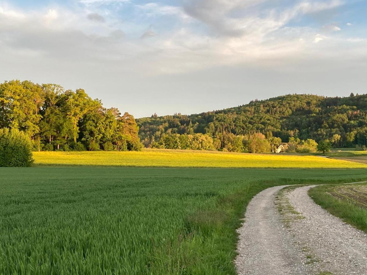 Buesingen Am Hochrhein Radfahren, Wandern, Natur Geniessen Lejlighed Eksteriør billede