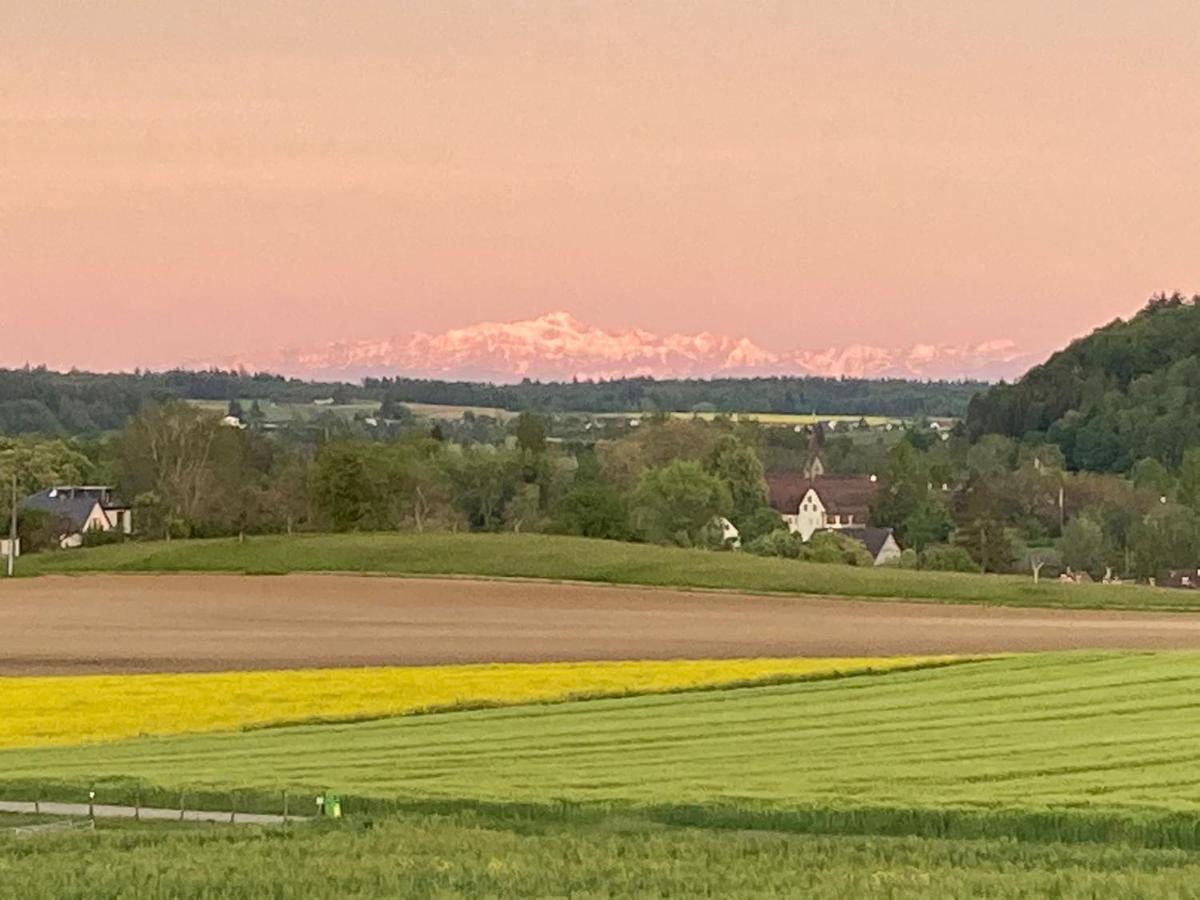 Buesingen Am Hochrhein Radfahren, Wandern, Natur Geniessen Lejlighed Eksteriør billede