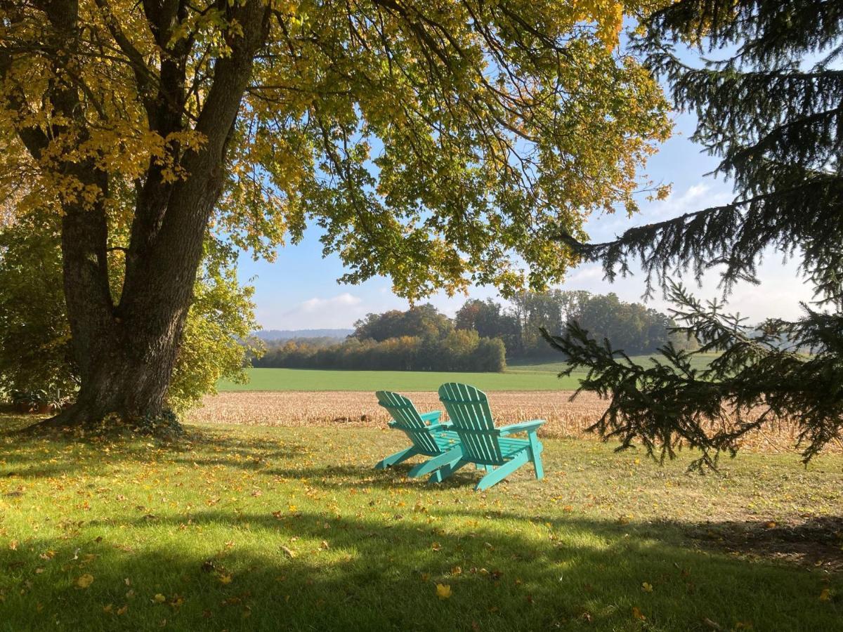 Buesingen Am Hochrhein Radfahren, Wandern, Natur Geniessen Lejlighed Eksteriør billede